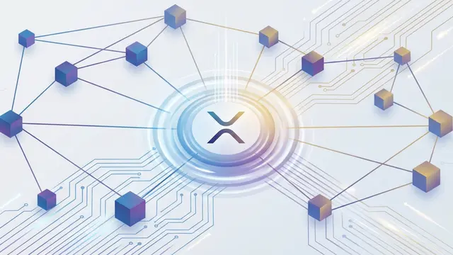 Ripple CEO Garlinghouse Reaffirms Central Role of XRP in Payment Strategy